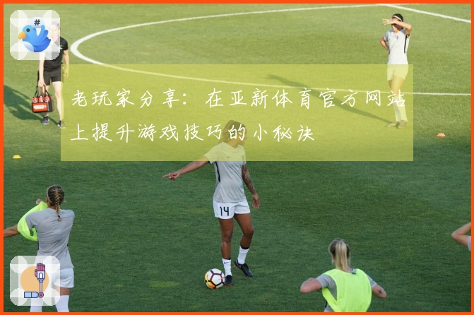 老玩家分享：在亚新体育官方网站上提升游戏技巧的小秘诀